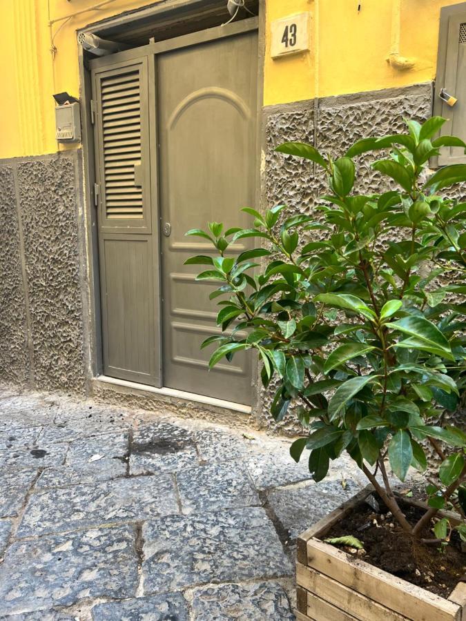 Casa Rosa Apartment Naples